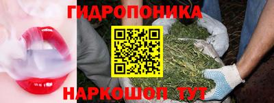 крисы Железногорск